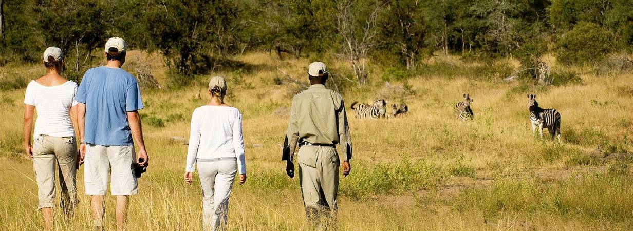 Optional walking with Safari guide.