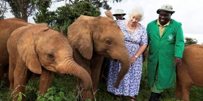 Sheldrick Elephant Orphanage