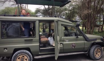 Africa Wildlife Safari