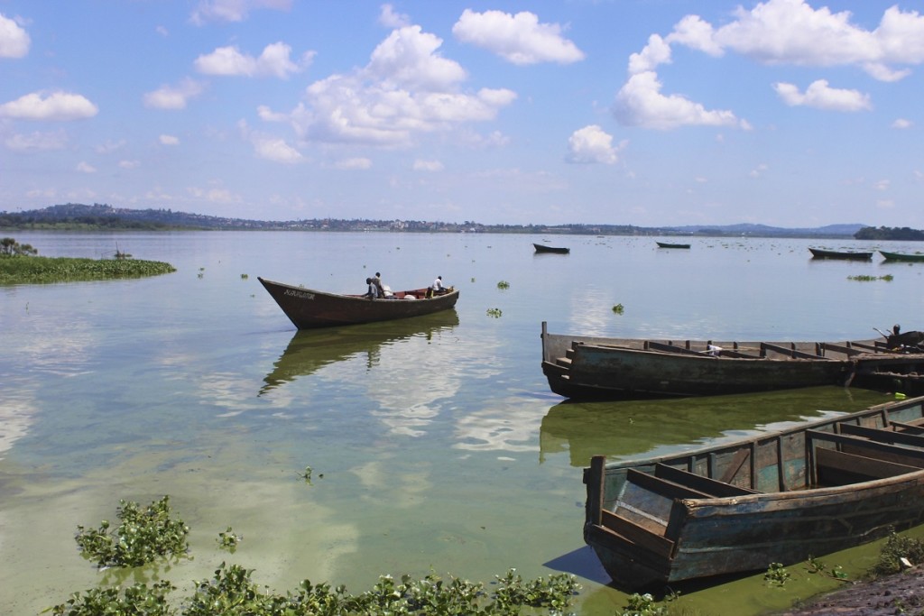 Lake Victoria view