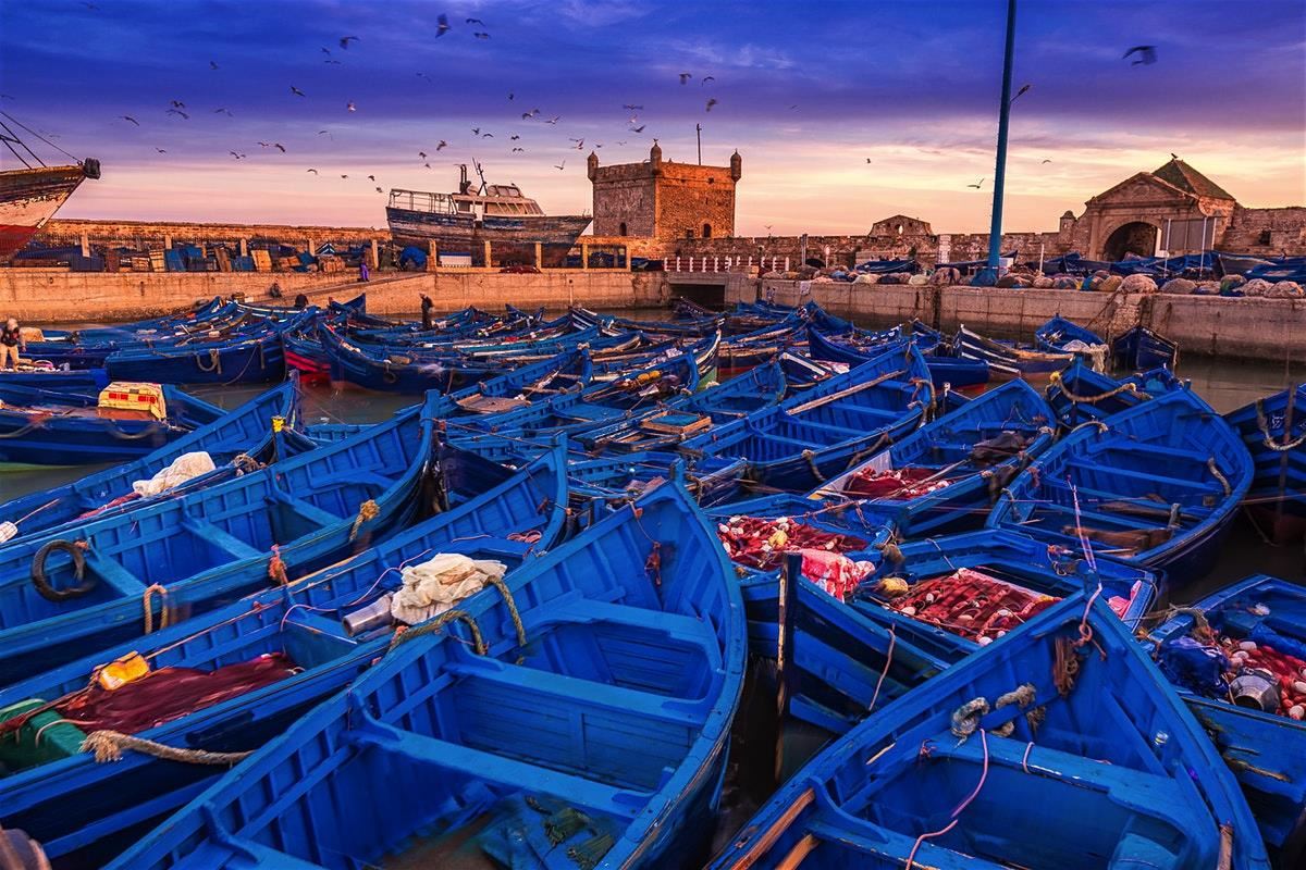 Morocco_Essaouira