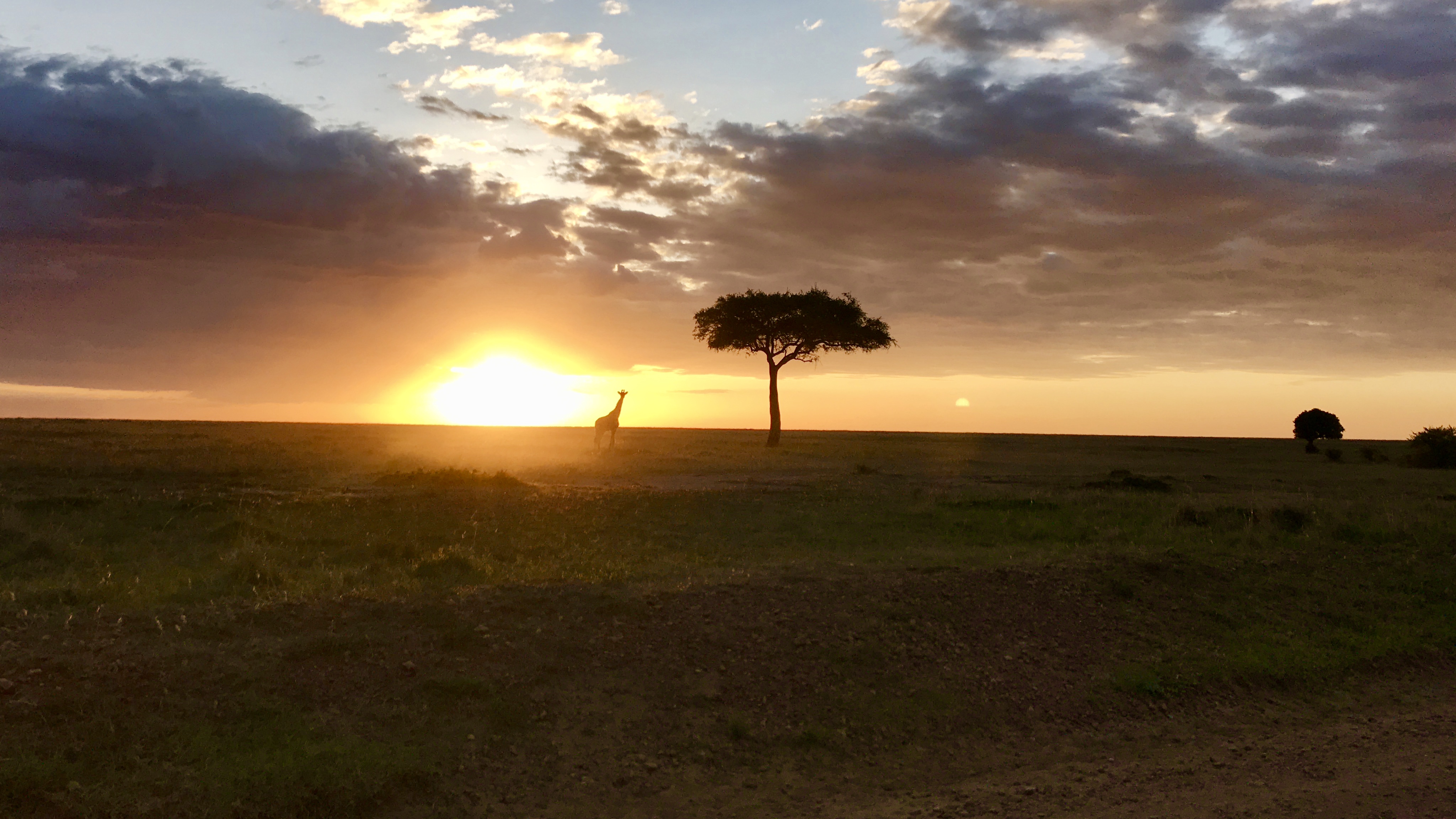 Gamedrive - Serengeti.